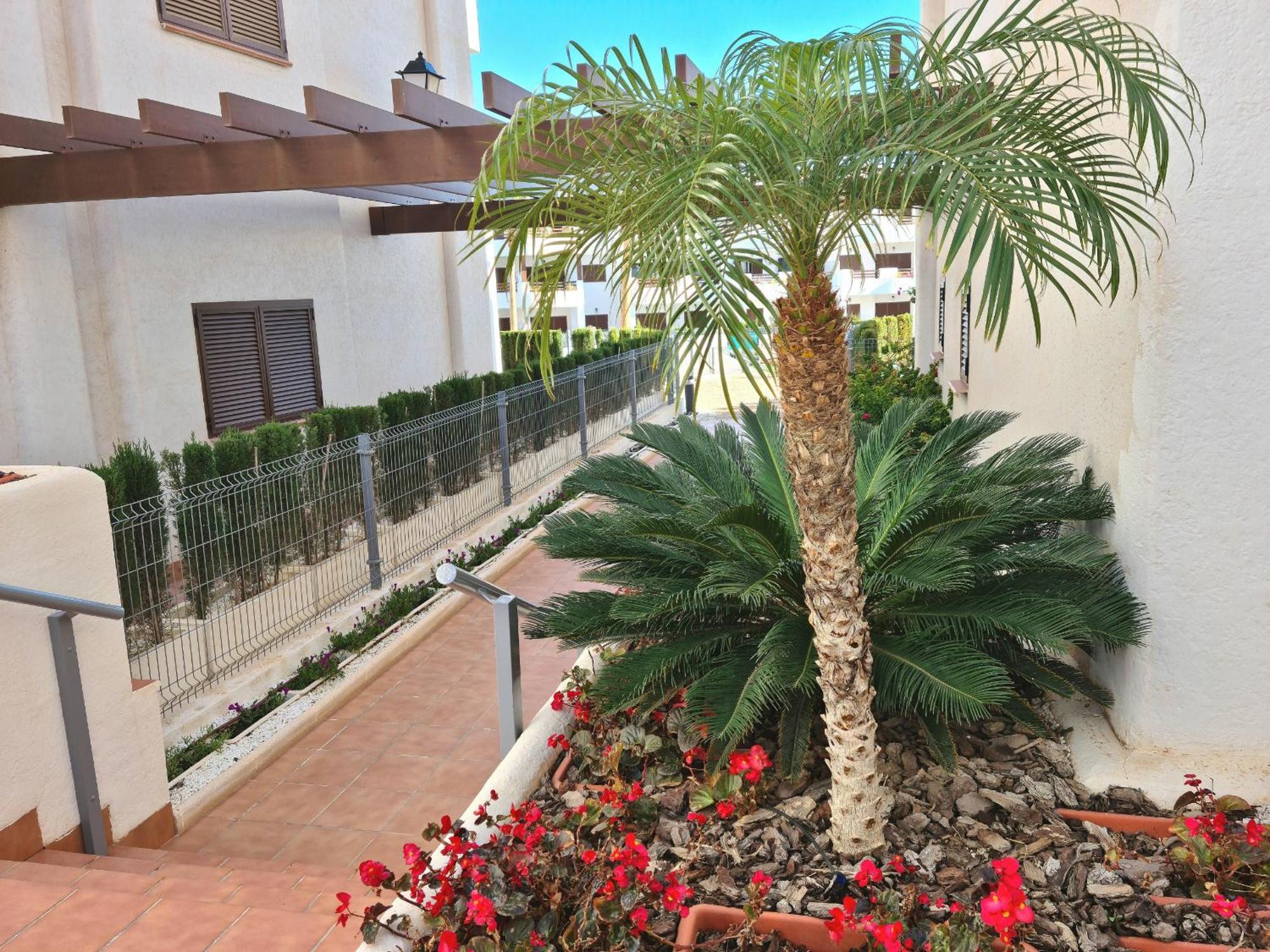 דירות San Juan de los Terreros El Sueno מראה חיצוני תמונה